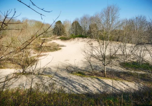 Oosthoekduinen_002_V1